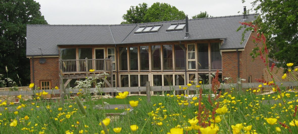 Renovated house with flowers in the foreground