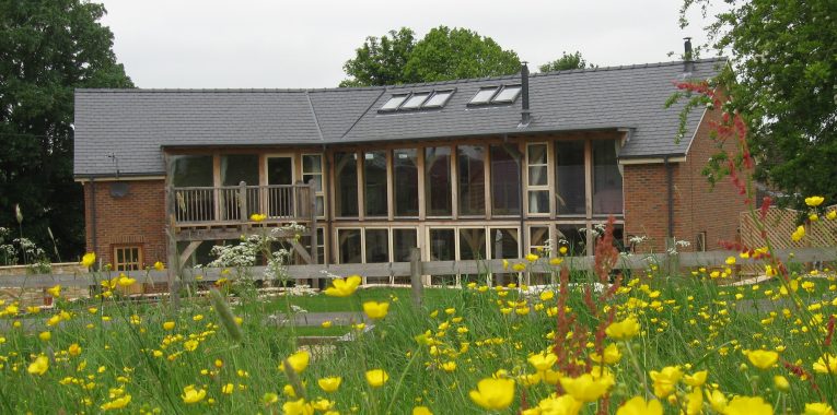 Renovated house with flowers in the foreground